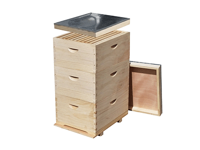 Beegiven Australia Beehive